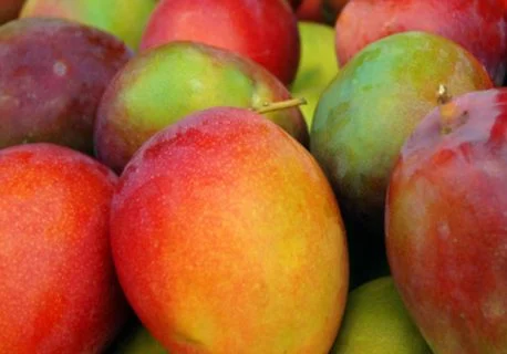 Recette - Confiture de mangue
