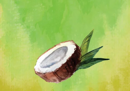 3 recettes de masque à base d'huile de coco.