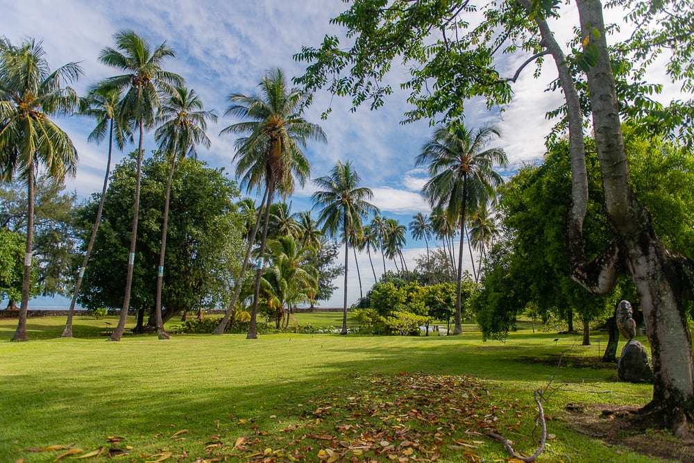 Jardin du Musée de Tahiti et des îles en Polynésie française