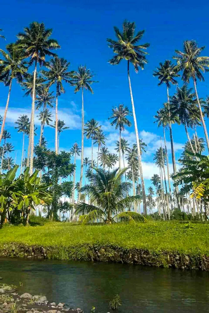 Temps libre à la rivière - Temarii Ueva