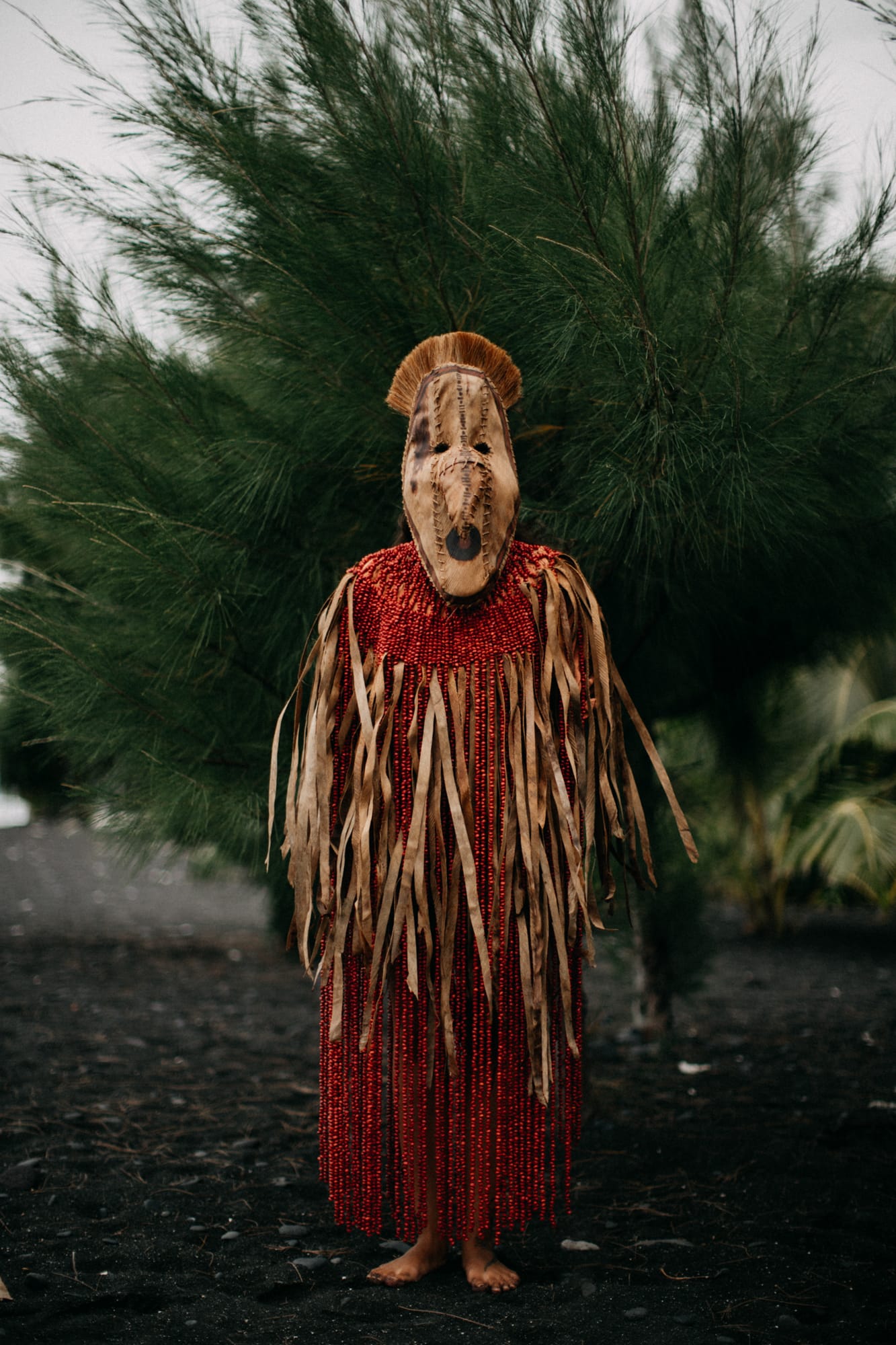 Winston Chollet tous droits réservés