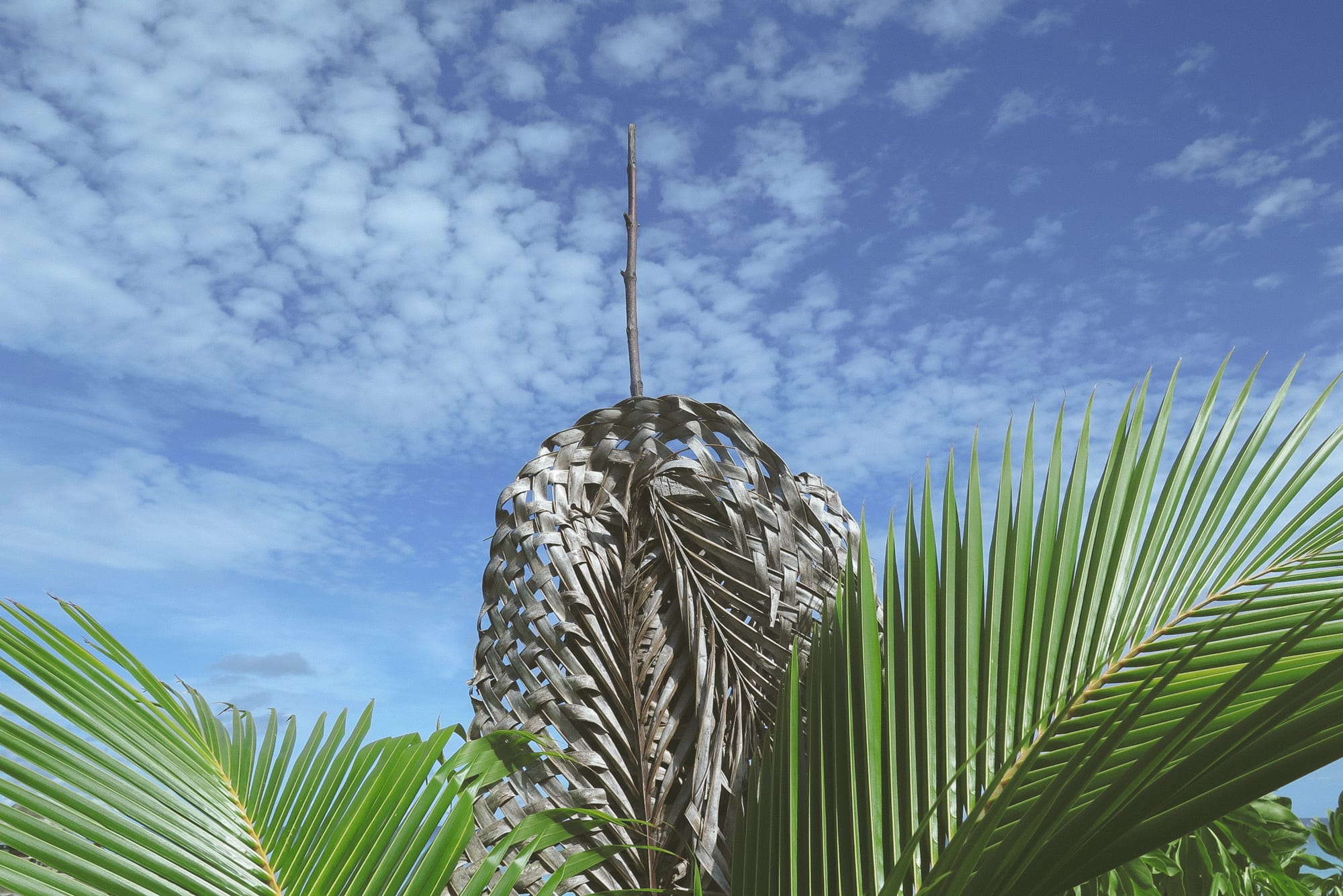 Ruaruhina Teariki Femmes de Polynésie Crédit : Marie Lecrosnier–Wittkowsky