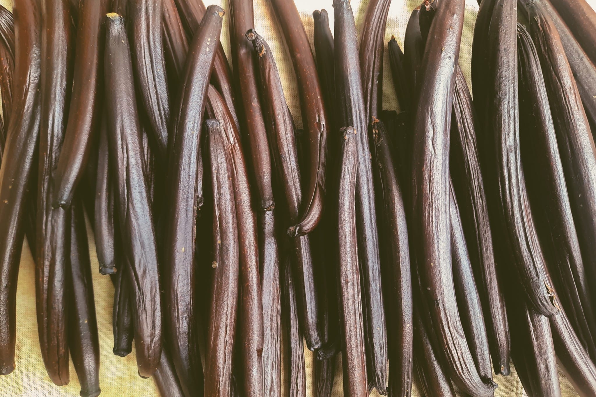 Marguerite Barbos Agricultrice vanille Femmes de Polynesie Credit : Cartouche Louise-Michele