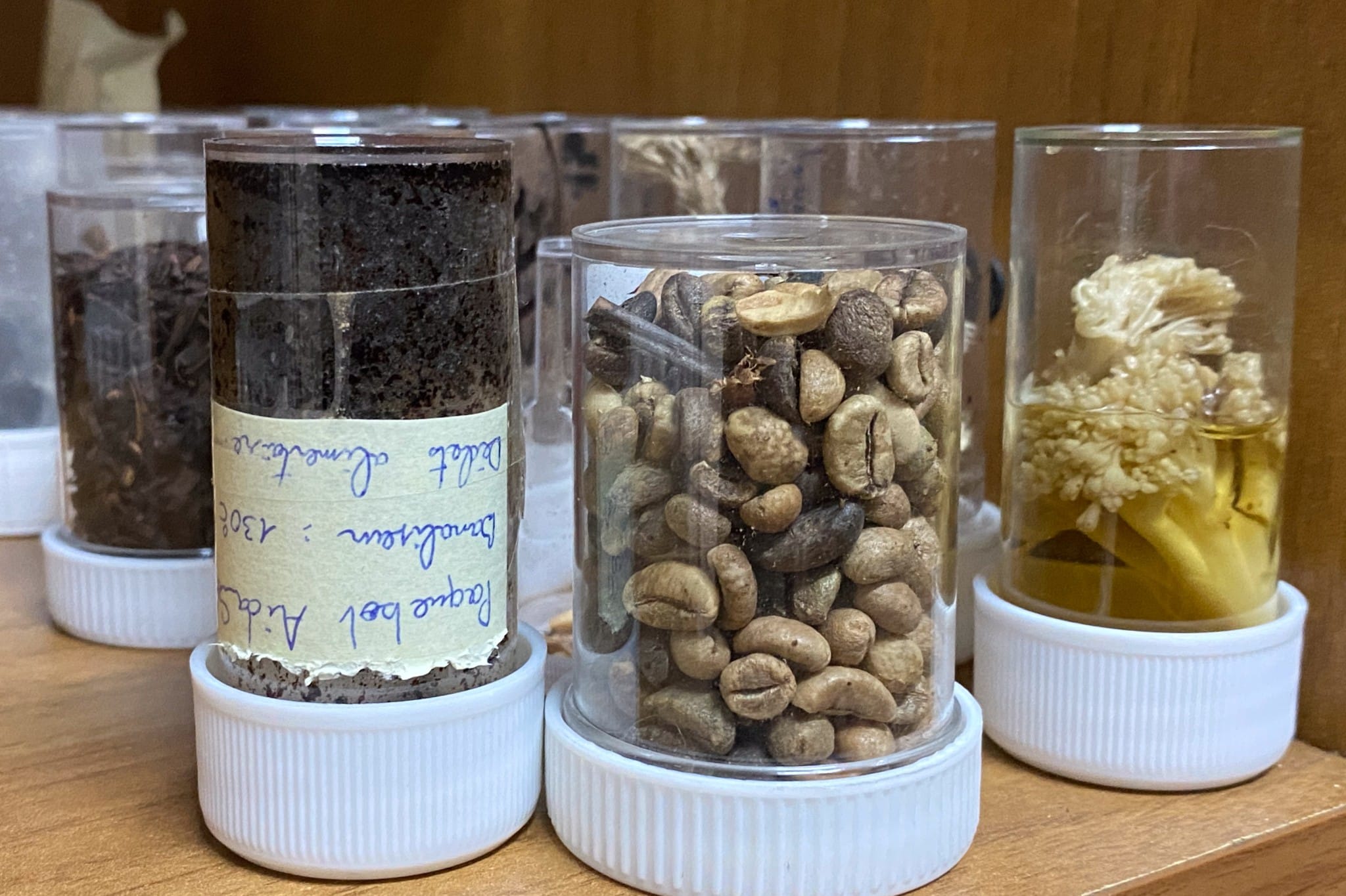 Tohei Teophilus collection de végétaux récupérés lors des contrôles