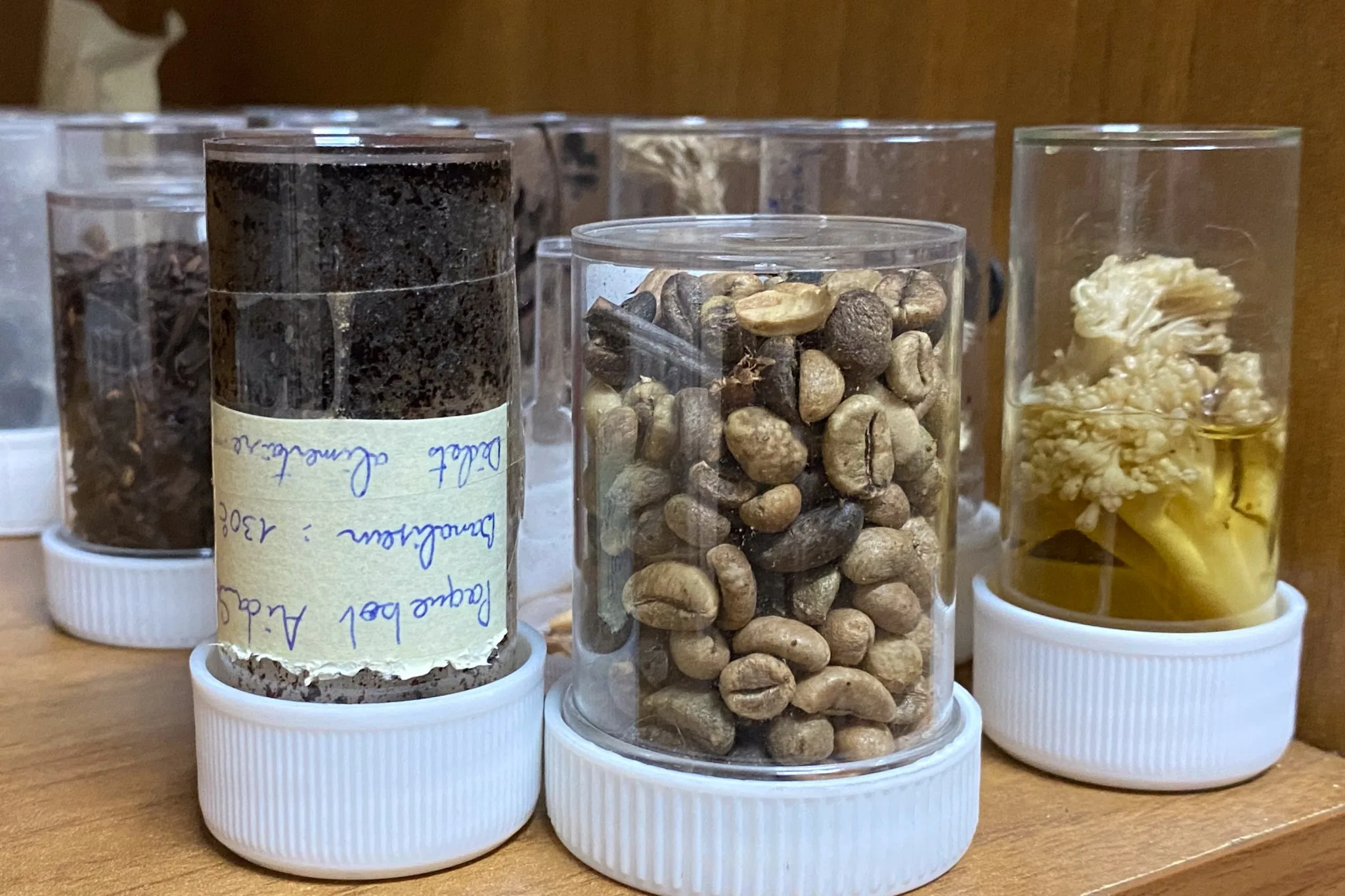 Tohei Teophilus collection de végétaux récupérés lors des contrôles