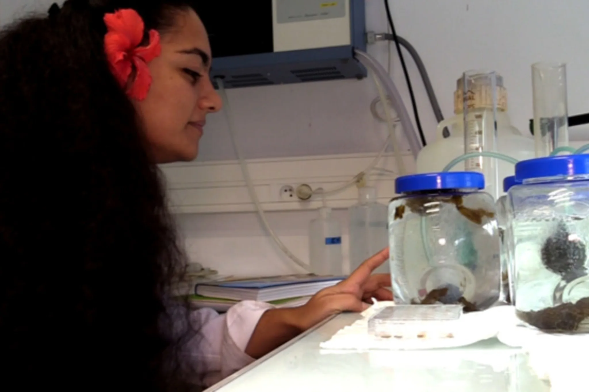 Tohei Teophilus, phytopathologiste à la Direction de la Biosécurité