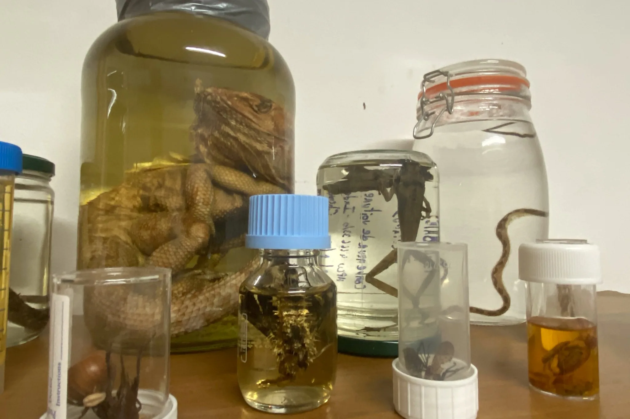 Tohei Teophilus, phytopathologiste à la Direction de la Biosécurité
